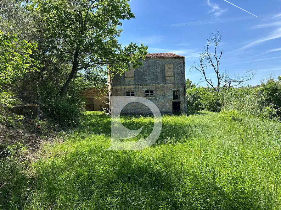 Immagine 2 di Terreno agricolo in vendita  in Contrada Cagno a Atri