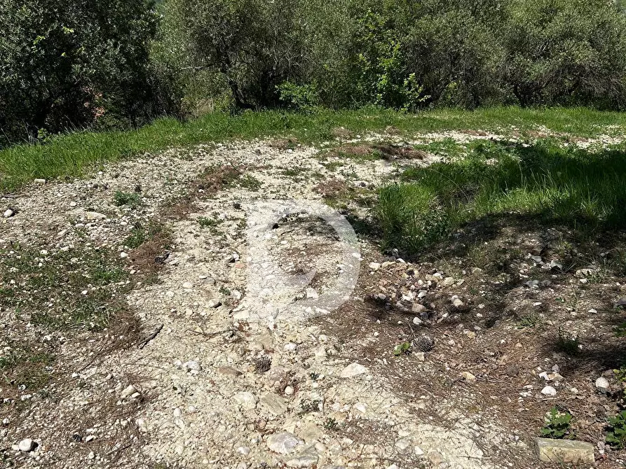 Immagine 15 di Terreno agricolo in vendita  in Contrada Cagno a Atri