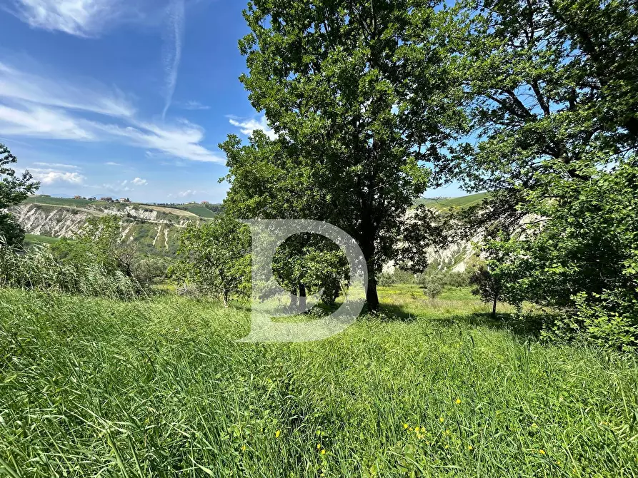 Immagine 16 di Terreno agricolo in vendita  in Contrada Cagno a Atri
