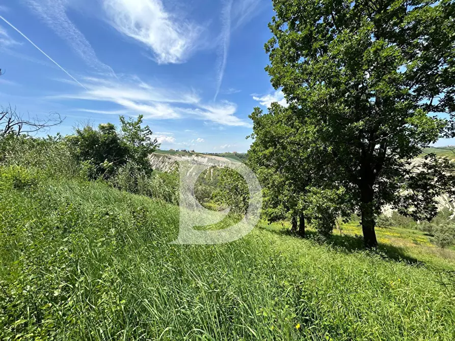 Immagine 17 di Terreno agricolo in vendita  in Contrada Cagno a Atri