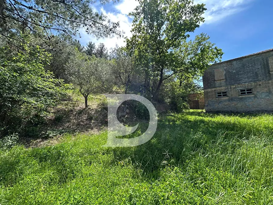 Immagine 4 di Terreno agricolo in vendita  in Contrada Cagno a Atri
