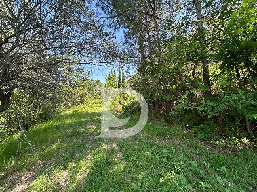 Immagine 18 di Terreno agricolo in vendita  in Contrada Cagno a Atri