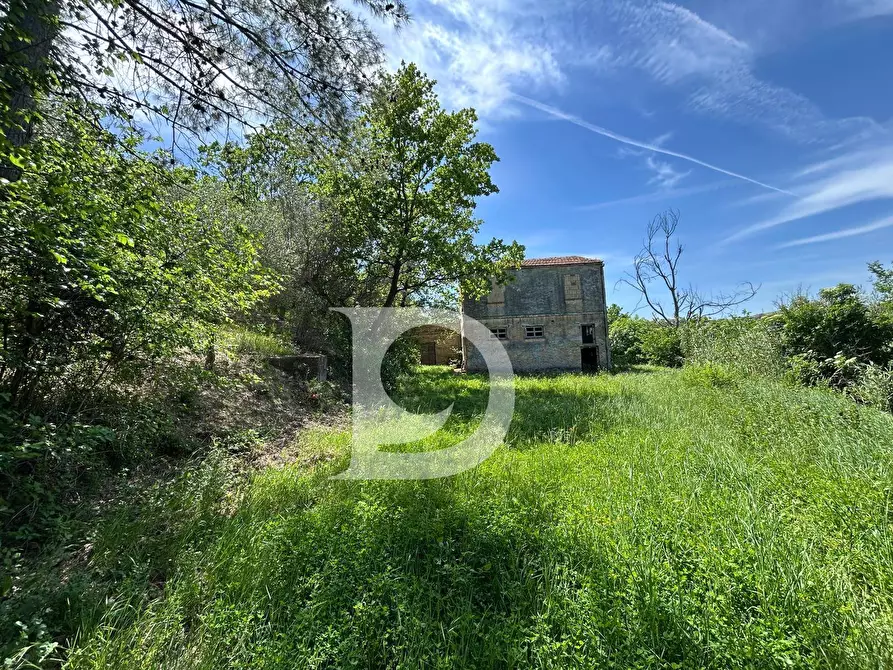 Immagine 5 di Terreno agricolo in vendita  in Contrada Cagno a Atri