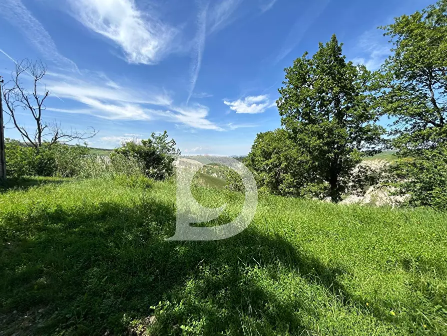 Immagine 19 di Terreno agricolo in vendita  in Contrada Cagno a Atri