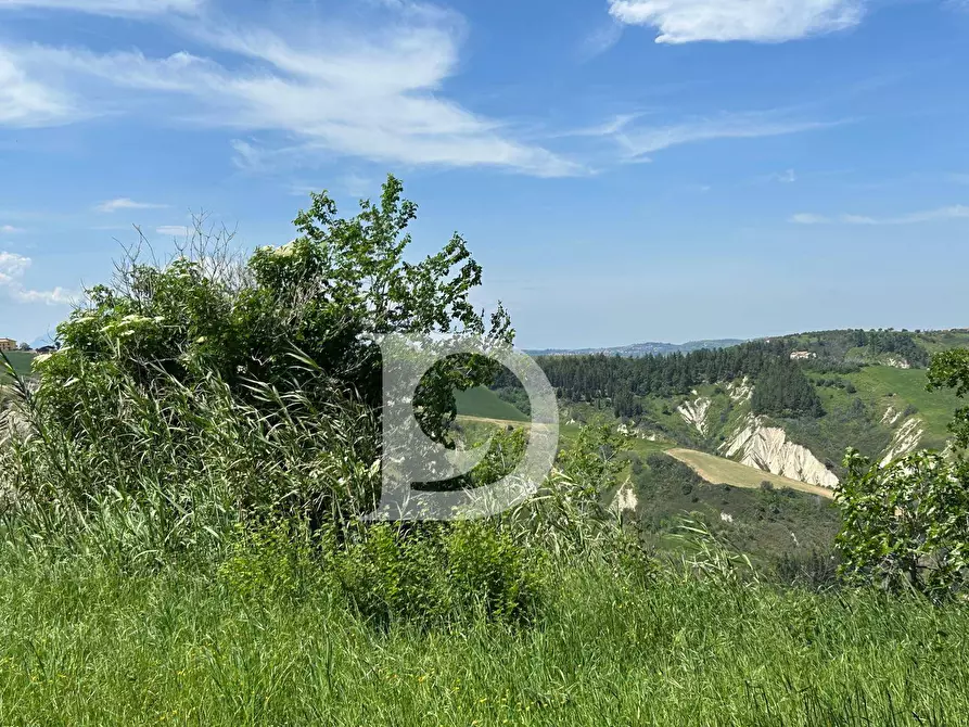 Immagine 21 di Terreno agricolo in vendita  in Contrada Cagno a Atri