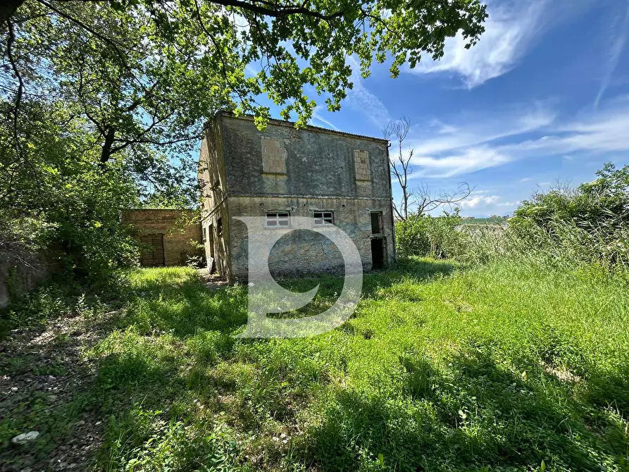 Immagine 6 di Terreno agricolo in vendita  in Contrada Cagno a Atri