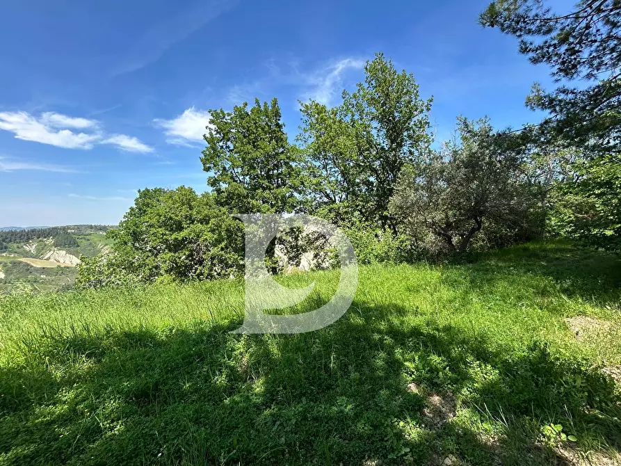 Immagine 22 di Terreno agricolo in vendita  in Contrada Cagno a Atri