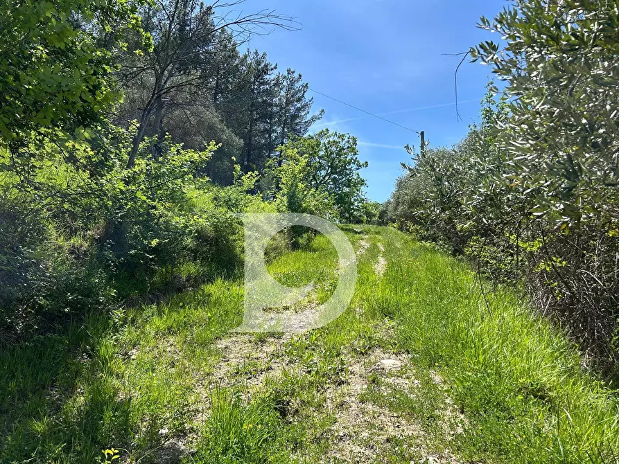 Immagine 24 di Terreno agricolo in vendita  in Contrada Cagno a Atri
