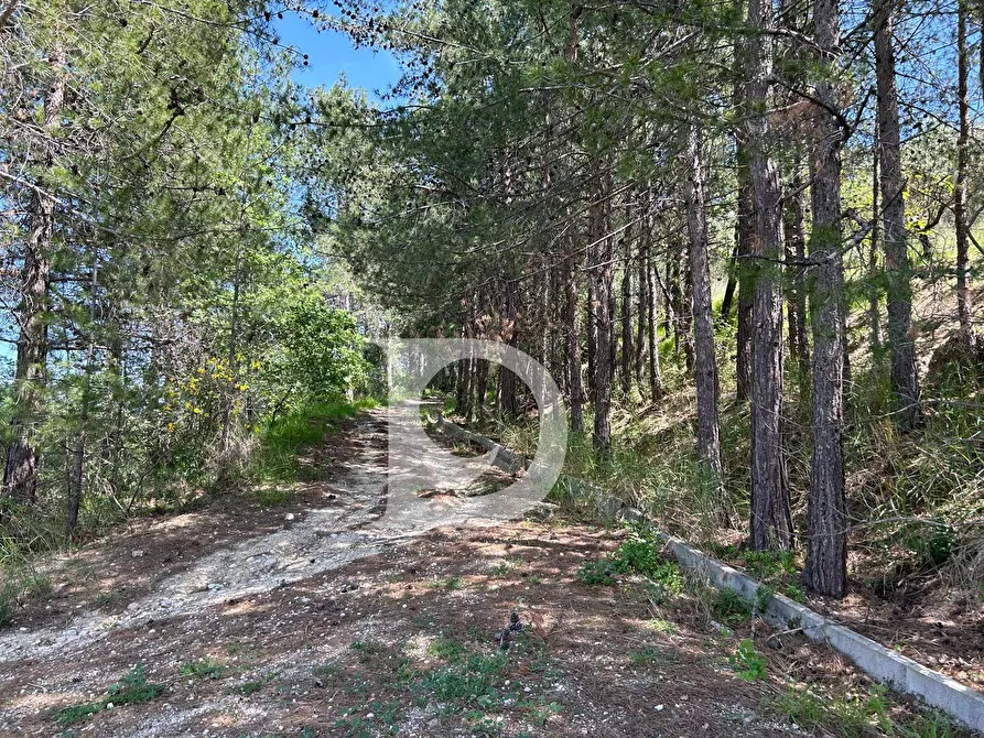 Immagine 25 di Terreno agricolo in vendita  in Contrada Cagno a Atri