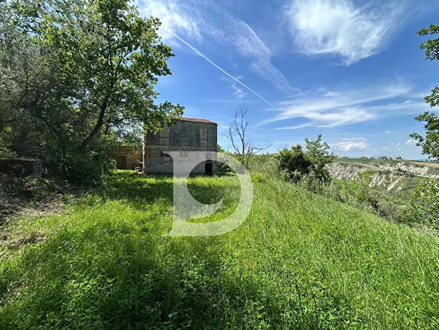 Immagine 8 di Terreno agricolo in vendita  in Contrada Cagno a Atri