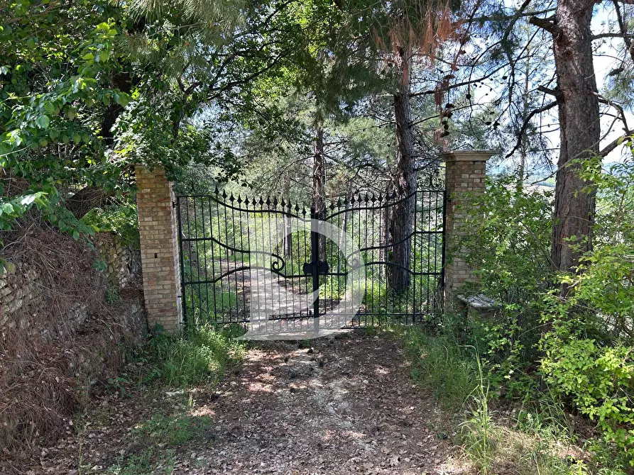 Immagine 1 di Terreno agricolo in vendita  in Contrada Cagno a Atri