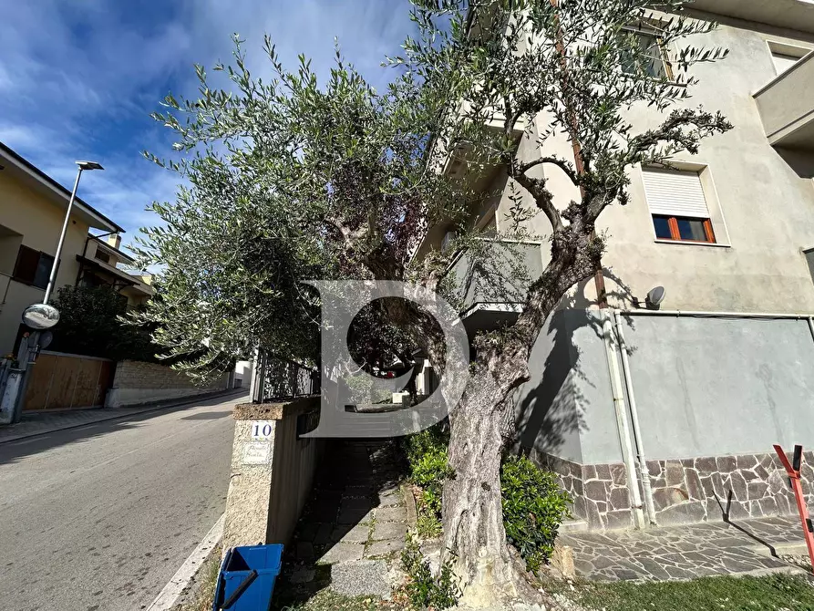 Immagine 11 di Appartamento in vendita  in Colle Innamorati a Pescara