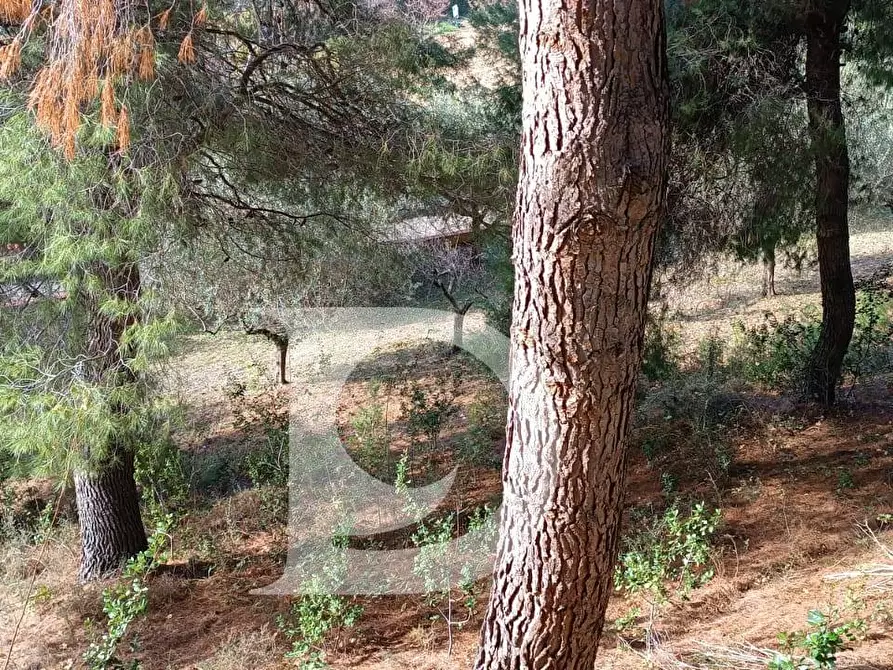 Immagine 8 di Terreno residenziale in vendita  in Via Alcide De Gasperi a Montesilvano