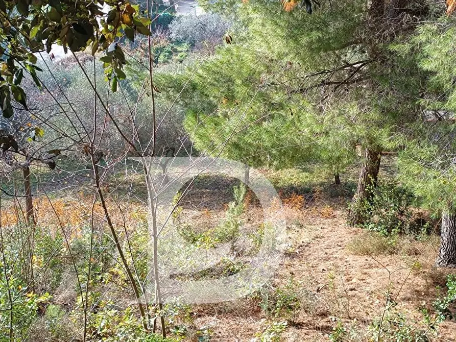 Immagine 10 di Terreno residenziale in vendita  in Via Alcide De Gasperi a Montesilvano