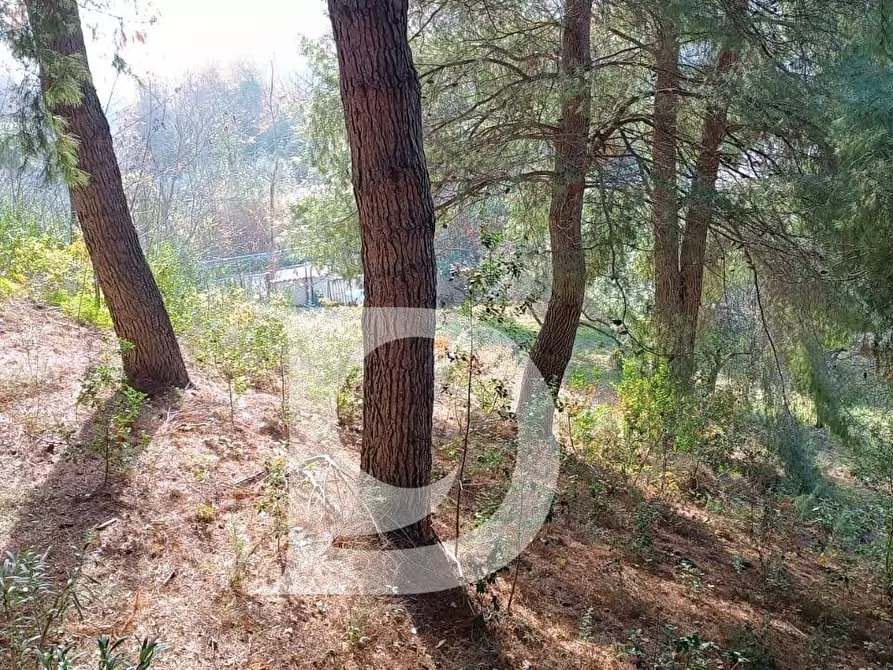 Immagine 11 di Terreno residenziale in vendita  in Via Alcide De Gasperi a Montesilvano