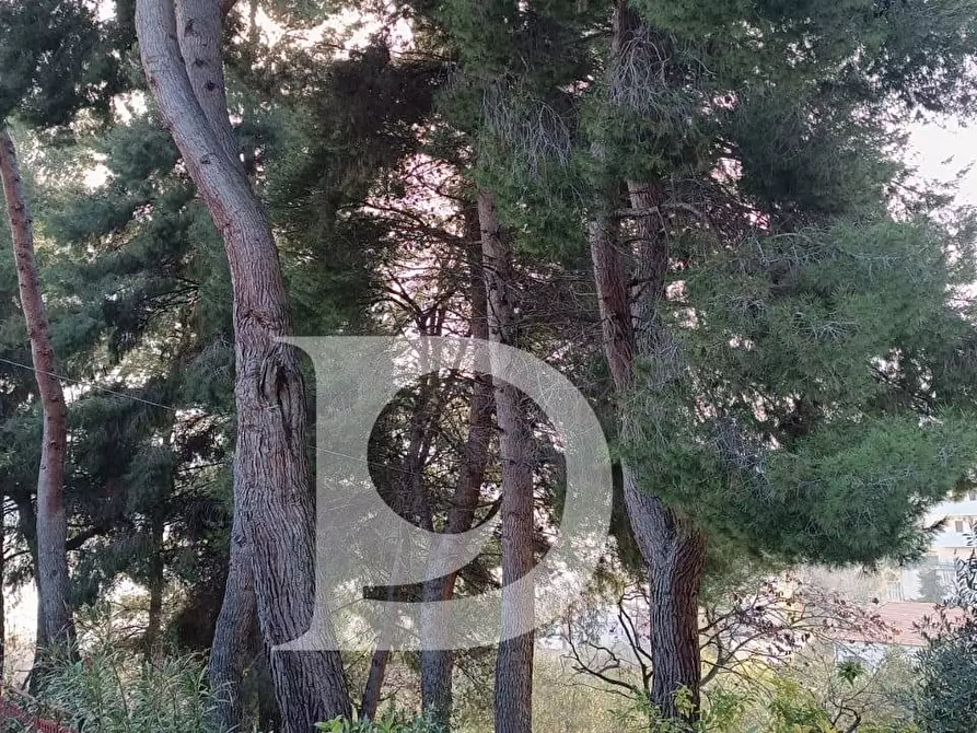 Immagine 12 di Terreno residenziale in vendita  in Via Alcide De Gasperi a Montesilvano