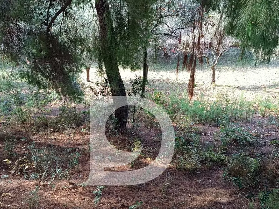 Immagine 13 di Terreno residenziale in vendita  in Via Alcide De Gasperi a Montesilvano