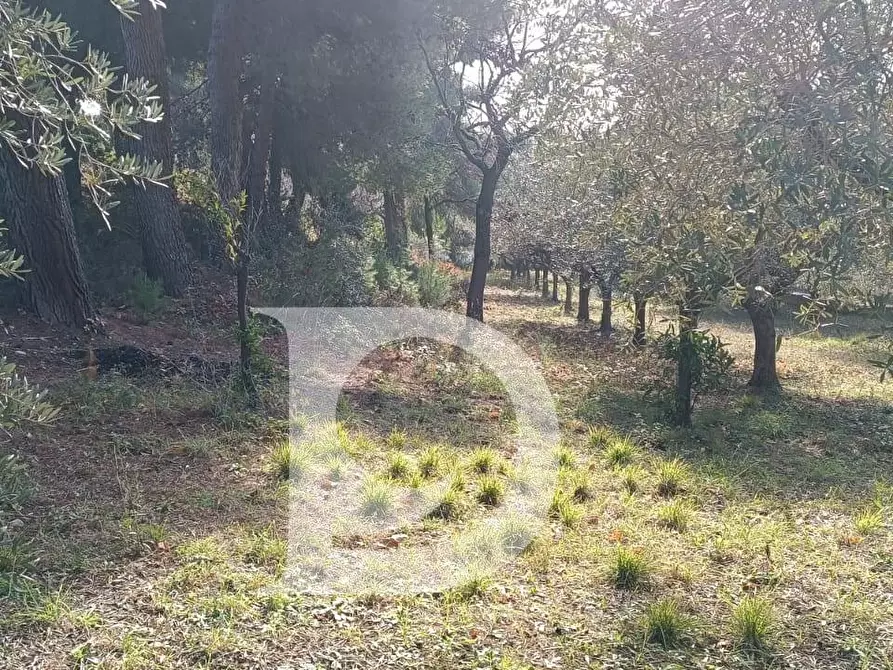 Immagine 14 di Terreno residenziale in vendita  in Via Alcide De Gasperi a Montesilvano
