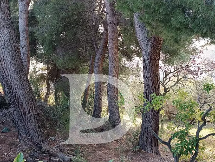 Immagine 15 di Terreno residenziale in vendita  in Via Alcide De Gasperi a Montesilvano