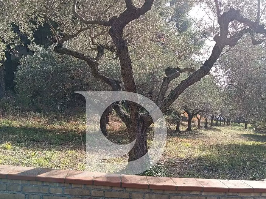 Immagine 17 di Terreno residenziale in vendita  in Via Alcide De Gasperi a Montesilvano
