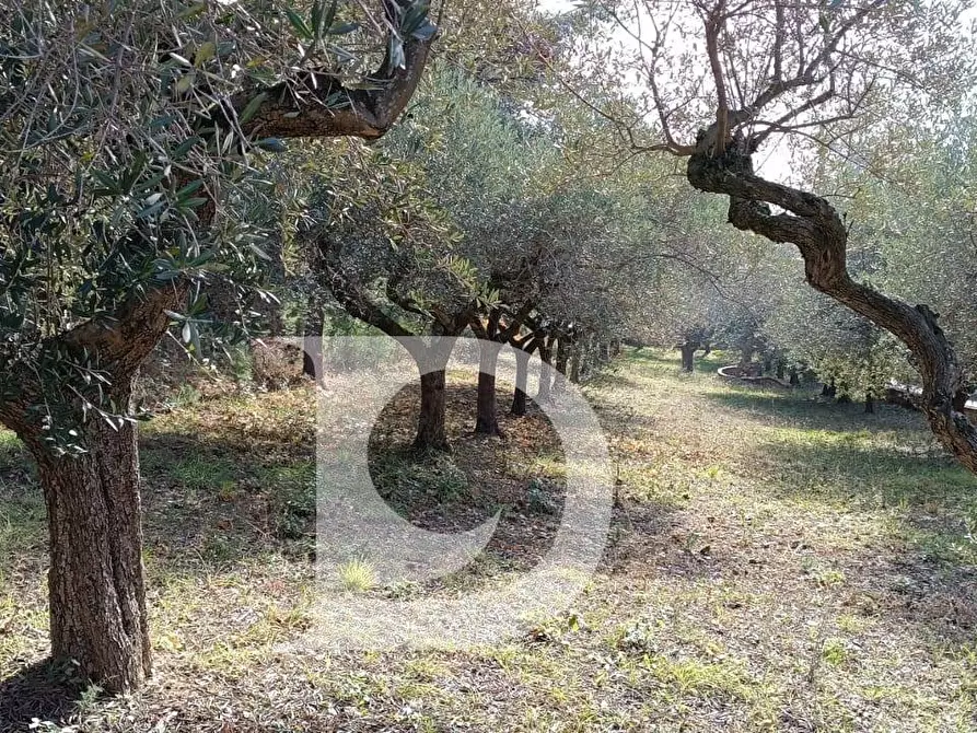 Immagine 19 di Terreno residenziale in vendita  in Via Alcide De Gasperi a Montesilvano