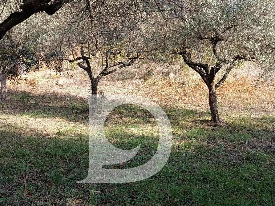 Immagine 21 di Terreno residenziale in vendita  in Via Alcide De Gasperi a Montesilvano