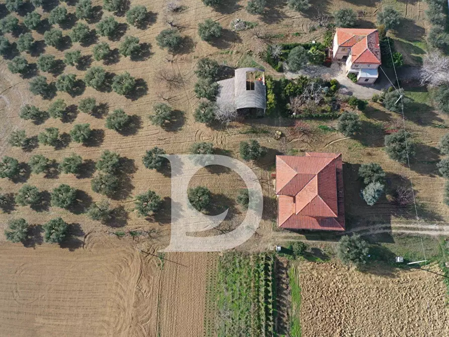 Immagine 13 di Casa indipendente in vendita  in Contrada San Silvestro a Pianella