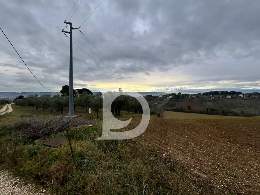 Immagine 5 di Terreno agricolo in vendita  in via Quagliera a Brittoli