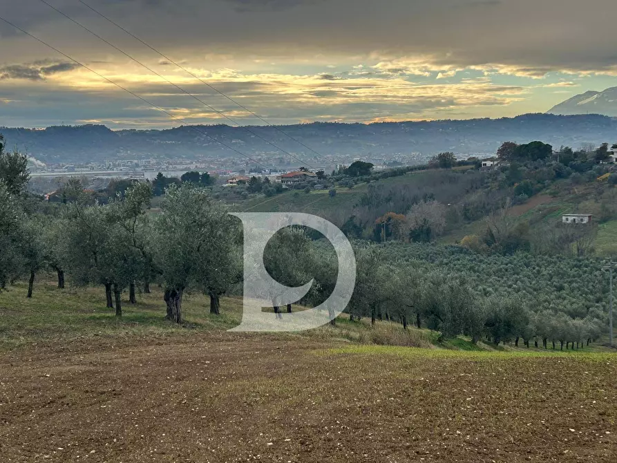Immagine 1 di Terreno agricolo in vendita  in via Quagliera a Brittoli