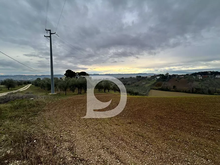 Immagine 6 di Terreno agricolo in vendita  in via Quagliera a Brittoli