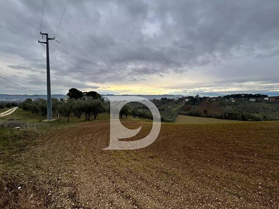 Immagine 8 di Terreno agricolo in vendita  in via Quagliera a Brittoli