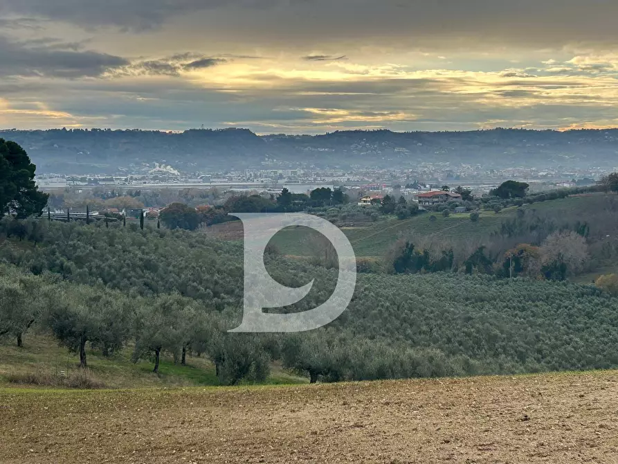 Immagine 2 di Terreno agricolo in vendita  in via Quagliera a Brittoli