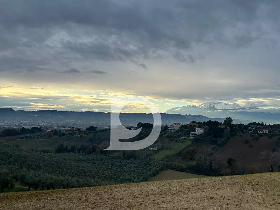 Immagine 9 di Terreno agricolo in vendita  in via Quagliera a Brittoli