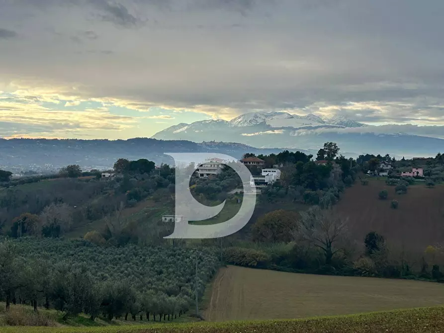 Immagine 10 di Terreno agricolo in vendita  in via Quagliera a Brittoli