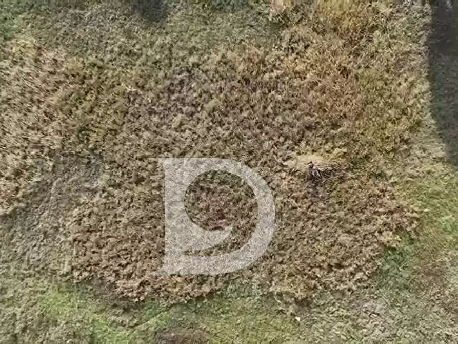 Immagine 5 di Terreno residenziale in vendita  in Via Stradonetto a Pescara