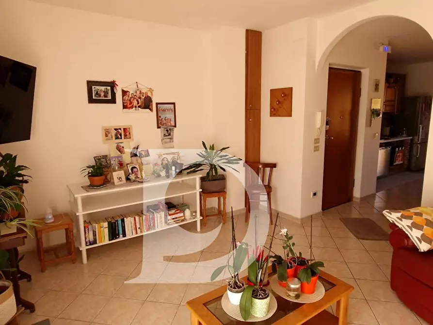 Immagine 4 di Casa semindipendente in vendita  in Via Marino di Resta a Loreto Aprutino