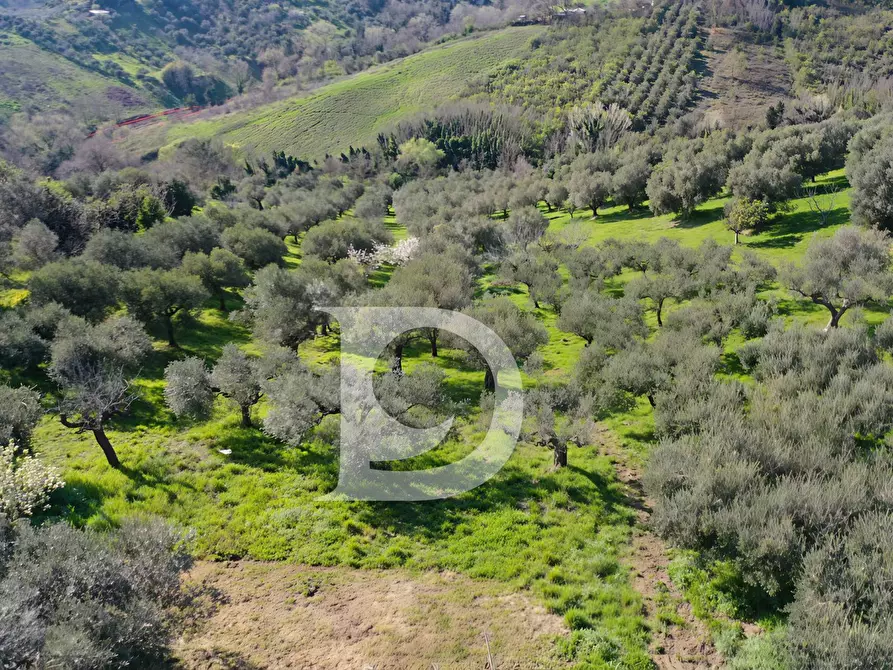 Immagine 4 di Terreno residenziale in vendita  in Via Valle Ferzetti a Pescara