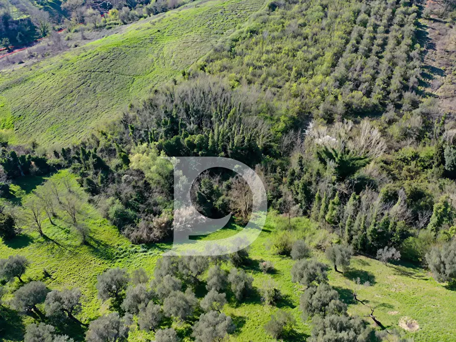Immagine 9 di Terreno residenziale in vendita  in Via Valle Ferzetti a Pescara
