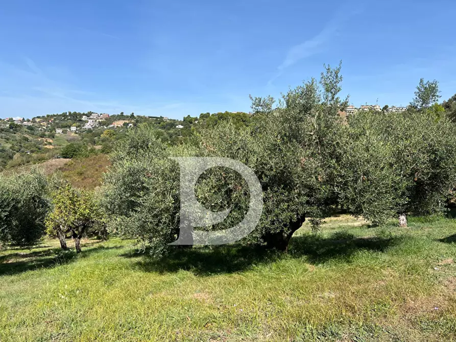 Immagine 11 di Terreno residenziale in vendita  in Via Valle Ferzetti a Pescara