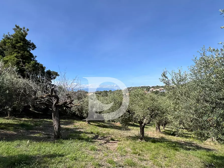 Immagine 14 di Terreno residenziale in vendita  in Via Valle Ferzetti a Pescara