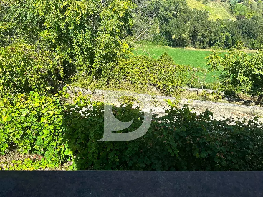 Immagine 41 di Casa semindipendente in vendita  in Contrada Remartello a Loreto Aprutino