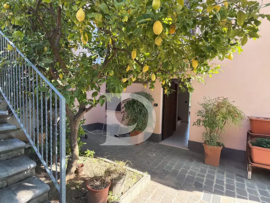Immagine 19 di Casa semindipendente in vendita  in Via Italo Giovannucci a Pescara