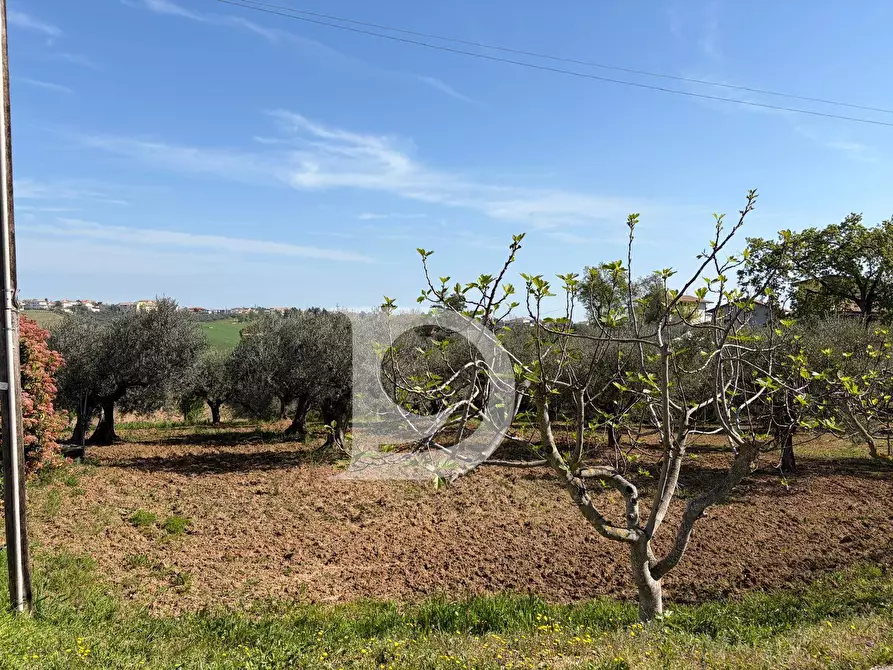 Immagine 1 di Terreno residenziale in vendita  in Via Boreale a Pianella