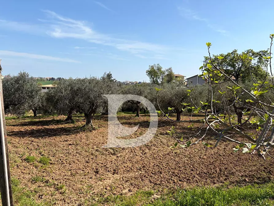 Immagine 2 di Terreno residenziale in vendita  in Via Boreale a Pianella