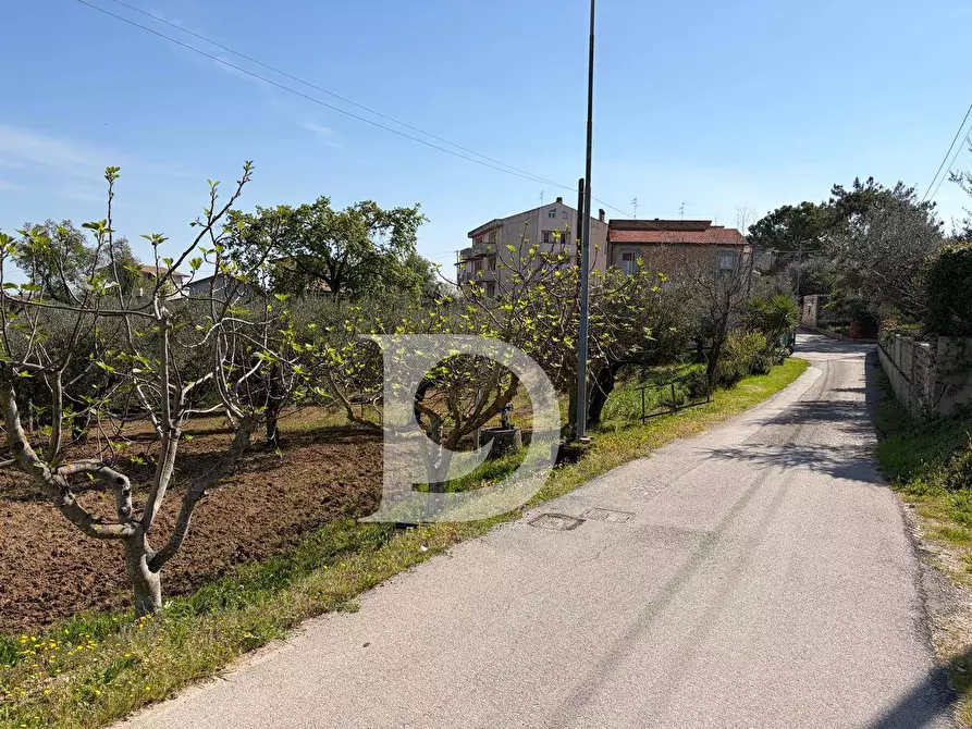 Immagine 4 di Terreno residenziale in vendita  in Via Boreale a Pianella