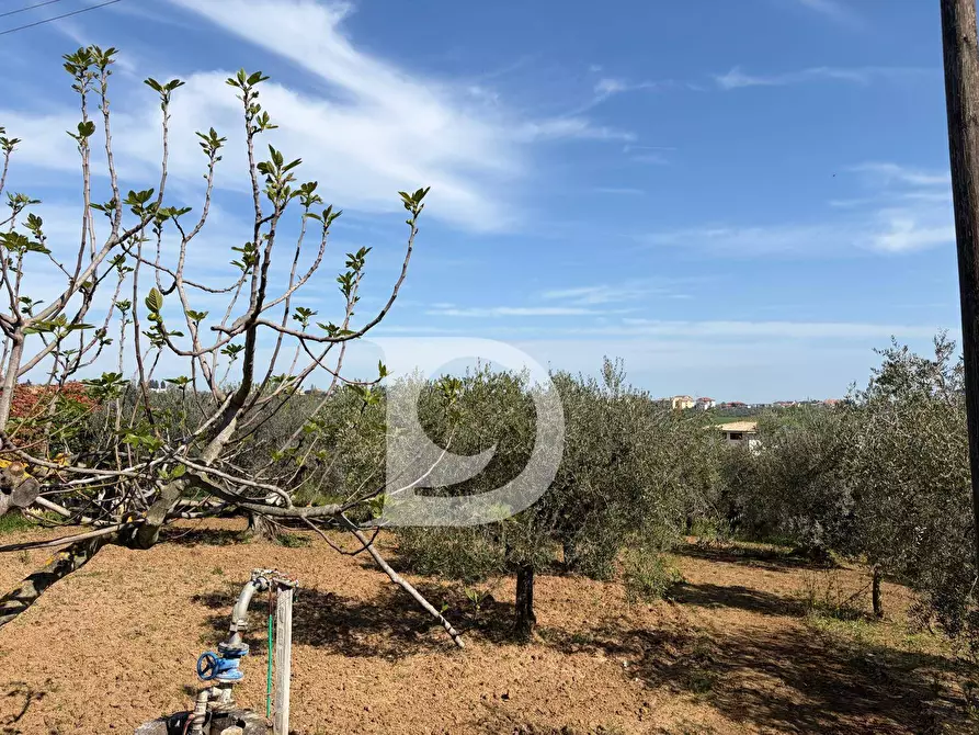 Immagine 5 di Terreno residenziale in vendita  in Via Boreale a Pianella