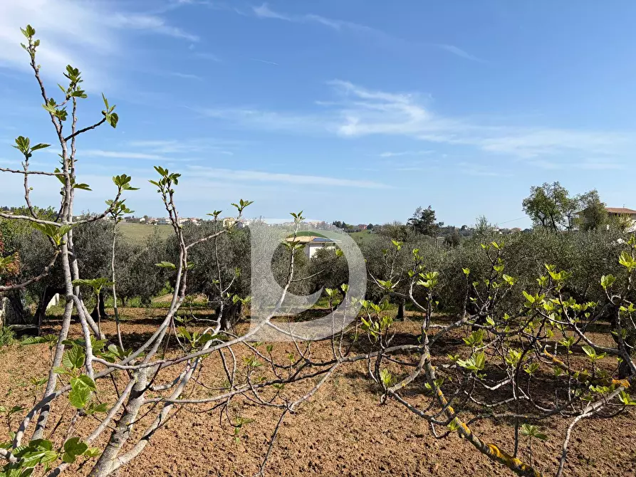 Immagine 6 di Terreno residenziale in vendita  in Via Boreale a Pianella