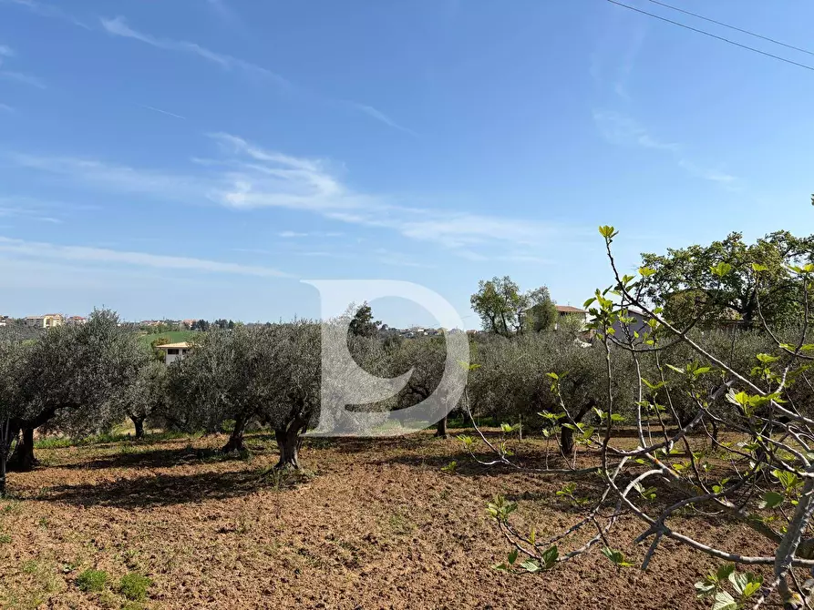 Immagine 7 di Terreno residenziale in vendita  in Via Boreale a Pianella
