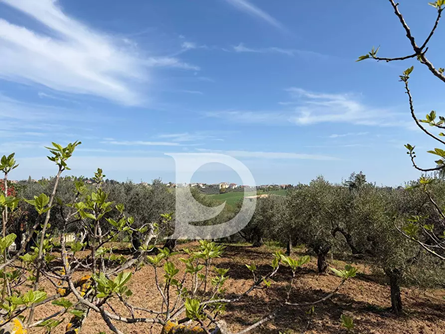 Immagine 8 di Terreno residenziale in vendita  in Via Boreale a Pianella