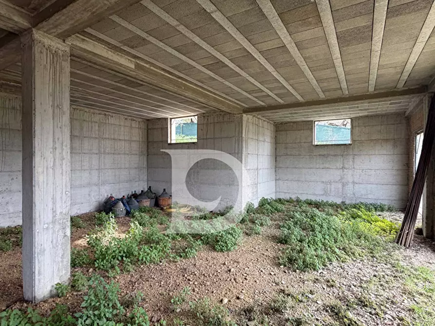 Immagine 11 di Palazzo in vendita  in Contrada Galliano s.n.c. a Loreto Aprutino